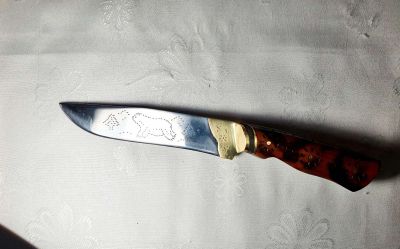 Галерия изображение