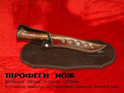 Галерия изображение